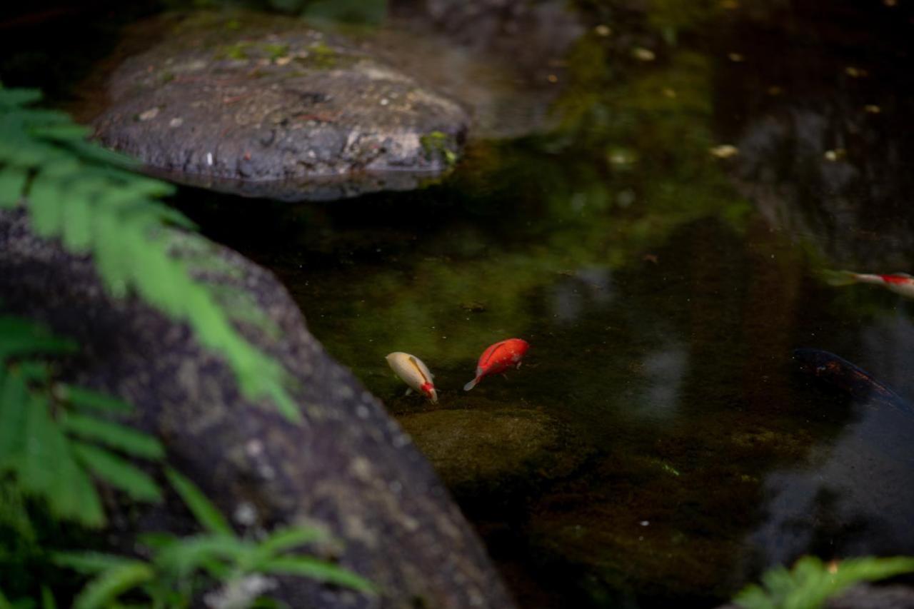 Ryokan Sakahijiri