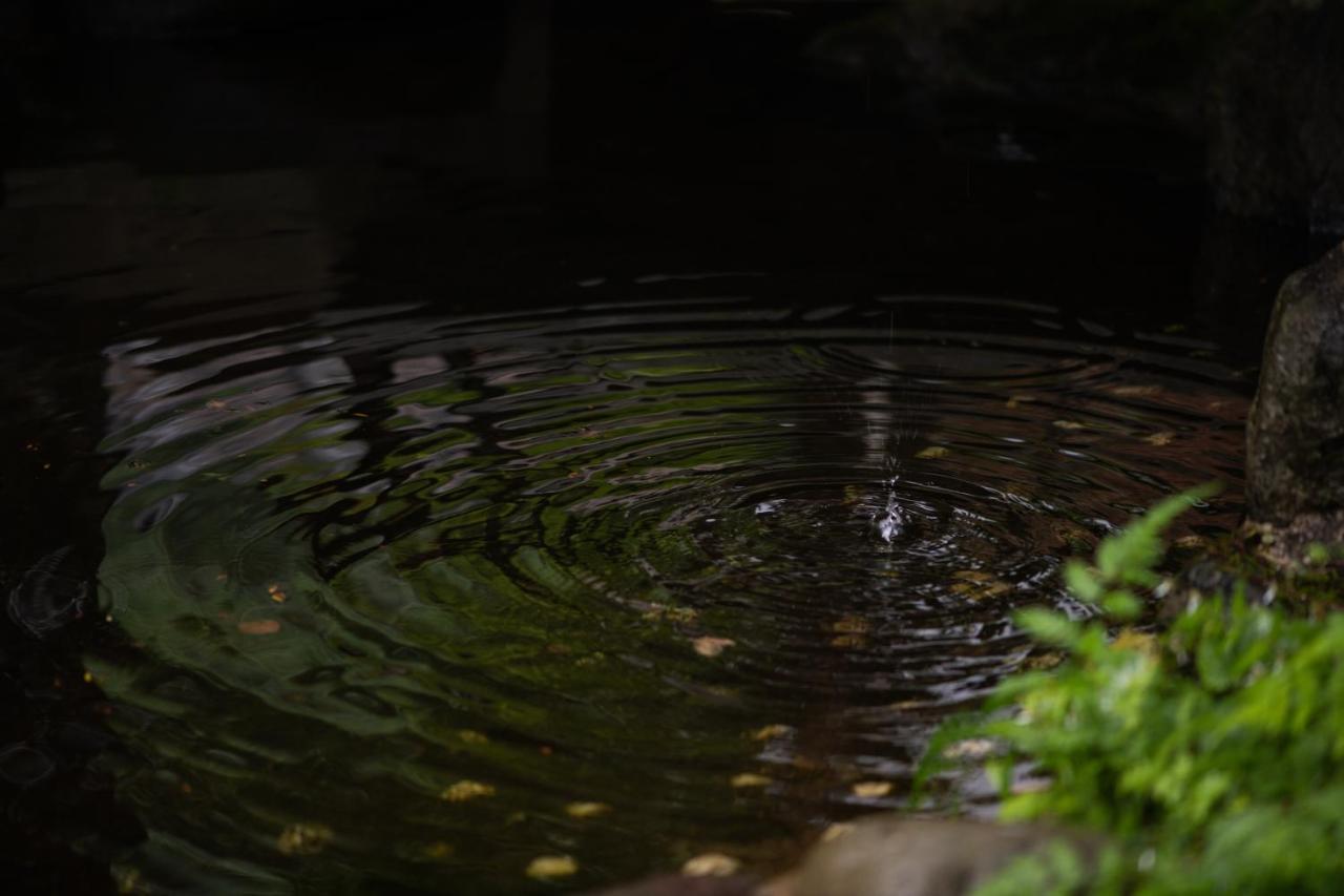 Ryokan Sakahijiri 4*